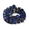 Natural Lapis Lazuli Beads Strands G-G053-B06-01-3