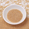 MIYUKI Delica Beads SEED-X0054-DB0852-2