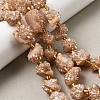 Electroplated Natural Druzy Agate Beads Strands G-G289-02D-1
