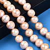 Natural Cultured Freshwater Pearl Beads Strands PEAR-N013-10C-2