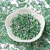 Baking Paint Glass Round Bugle Beads SEED-Z002-A-E02-2