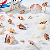 Natural Sea Shell Beads Kits SSHEL-PH0002-51-5
