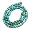 Natural HuBei Turquoise Beads Strands G-G106-G01-01-2