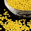(Repacking Service Available) Glass Seed Beads SEED-C019-3mm-42-1