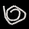 Natural White Jade Beads Strands G-F797-A14-01-3