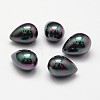 Rainbow Plated Shell Pearl Beads BSHE-L032-06-1