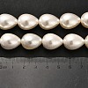 Electroplate Shell Pearl Beads Strands BSHE-G010-14x18mm-01-5