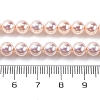 UV Plating Pearlized Glass Pearl Beads Strands GLAA-F128-01A-T09-2
