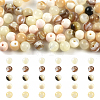 100Pcs 5 Styles Natural White Shell & Trochid Shell & Freshwater Shell Beads SSHEL-YW0001-17-1