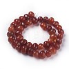 Dyed Natural Agate Beads Strands G-F595-D08-2