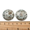 Natural Sesame Jasper Cabochons G-C115-02B-08-3