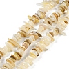 Natural Trochus Shell Beads Strands BSHE-H109-08-1