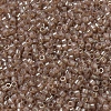 MIYUKI Delica Beads Small X-SEED-J020-DBS0102-3