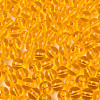 FGB Transparent Glass Seed Beads SEED-N013-01B-11-3