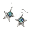 Paua Shell and 304 Stainless Steel Dangle Earrings EJEW-JE07471-4