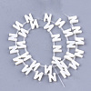 Natural Freshwater Shell Beads SHEL-T012-59N-2