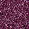 TOHO Round Seed Beads X-SEED-TR08-0304-2