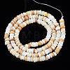 Natural Freshwater Shell Beads Strands X-SHEL-S278-067G-2