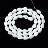 Natural Trochid Shell/Trochus Shell Beads Strands SSHEL-S266-022-2