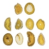 Natural Agate Nuggets Slice Links Connector Charms G-E022-M04-1