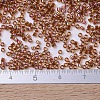 MIYUKI Delica Beads SEED-MY11-DB0170-4