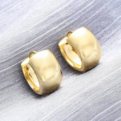 Brass Hoop Earrings EJEW-Q015-21C-G-1