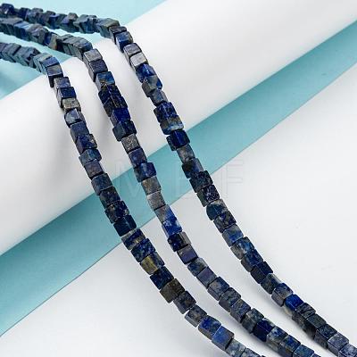 Natural Lapis Lazuli Beads Strands G-F631-K05-1