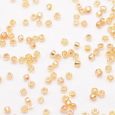 8/0 Round Glass Seed Beads SEED-J017-F8-662B-1