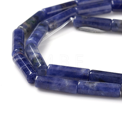 Natural Sodalite Beads Strands G-F247-30-1