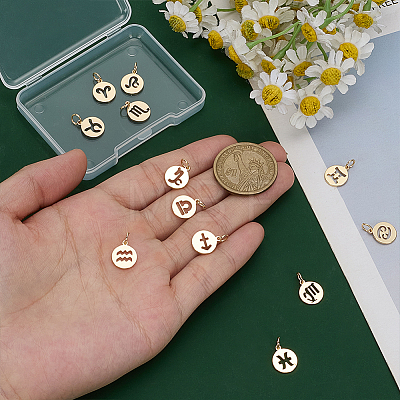 12Pcs 12 Styles Flat Round with Twelve Constellations Brass Charms PALLOY-WR00028-1