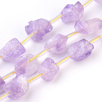 Natural Amethyst Beads Strands G-I250-03B-1