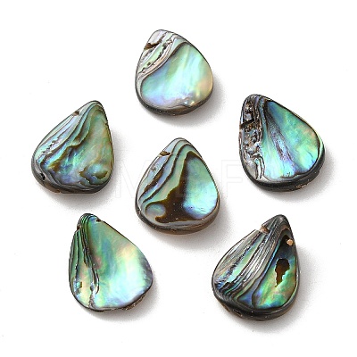 Natural Paua Shell Beads SSHEL-F305-02B-1