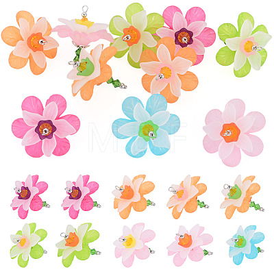Acrylic Pendants PALLOY-TADJ00012-1