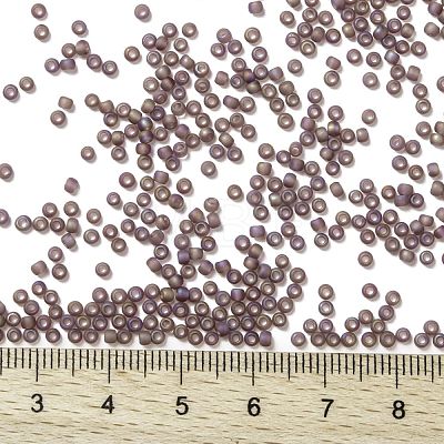 TOHO Round Seed Beads X-SEED-TR11-0166BF-1