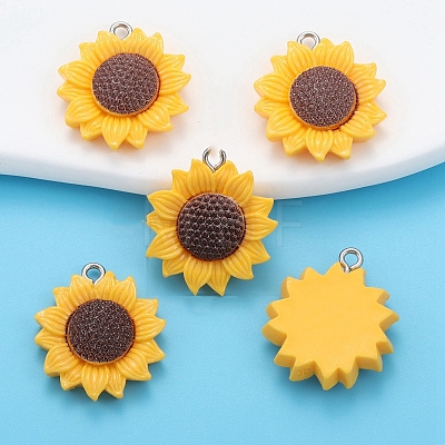 Resin Pendants PW-WG4732E-14-1