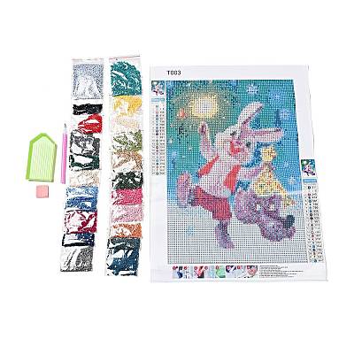 DIY Easter Theme Rabbit Pattern Full Drill Diamond Painting Canvas Kits DIY-G074-01B-1