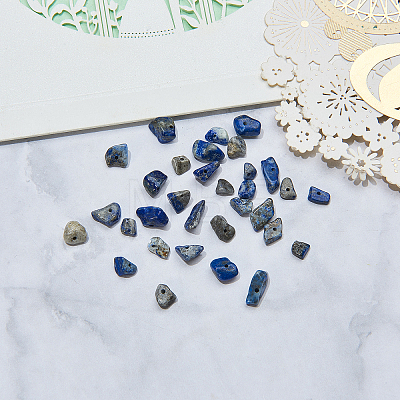 Natural Lapis Lazuli Chip Beads G-CJ0001-25-1