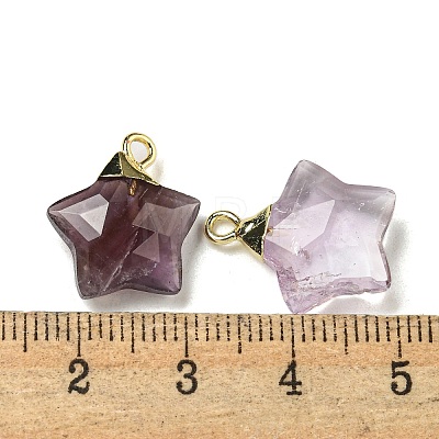 Natural Amethyst Pendants G-P540-01G-10-1