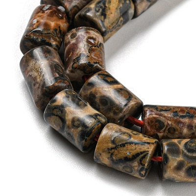 Natural Leopard Skin Jasper Beads Strands G-Q1008-A06-1