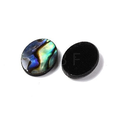 Natural Paua Shell Epoxy Resin Cabochons SSHEL-S279-01G-1