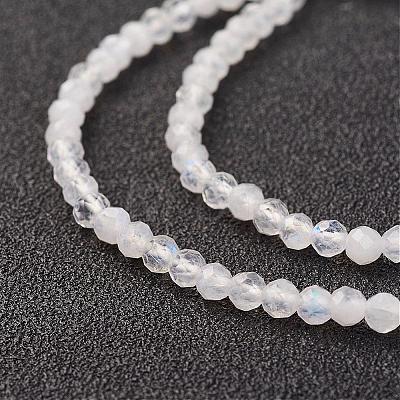 Natural Rainbow Moonstone Bead Strand G-G680-53-1