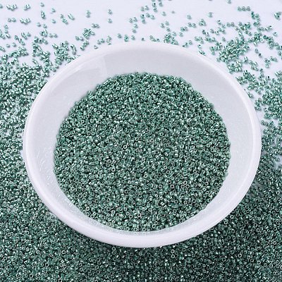 MIYUKI Delica Beads SEED-X0054-DB0432-1