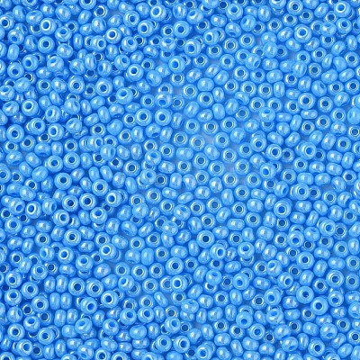 11/0 Czech Opaque Glass Seed Beads SEED-N004-003B-17-1