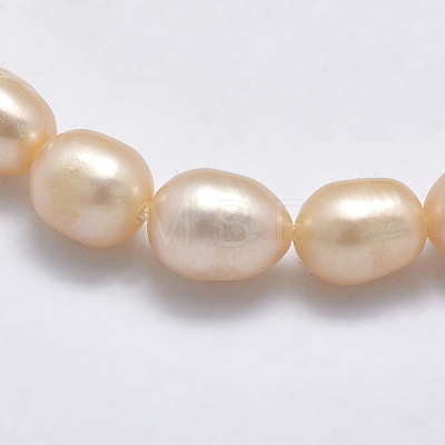Natural Cultured Freshwater Pearl Beads Strands PEAR-N012-06I-1
