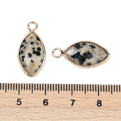 Natural Dalmatian Jasper Faceted Pendants G-G193-01G-01-1