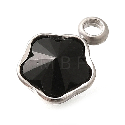 304 Stainless Steel Pendants STAS-Q346-02P-05-1