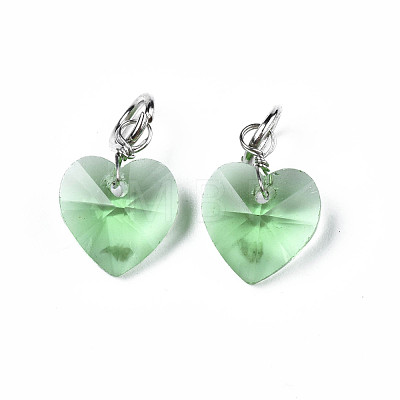 Faceted Transparent Glass Charms GLAA-T024-04G-1