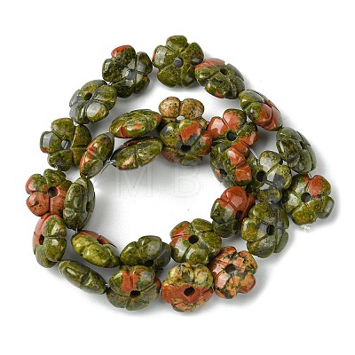 Natural Unakite Beads Strands G-H023-B02-01-1