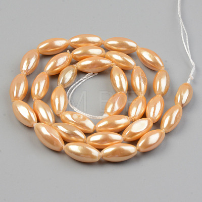 Electroplate Natural Freshwater Shell Beads Strands SHEL-T017-13B-1