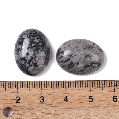 Natural Map Stone Cabochons G-B080-01A-09-1